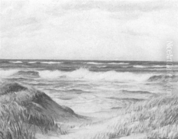 Nauset Beach Near Eastham Coast-guard - view 1