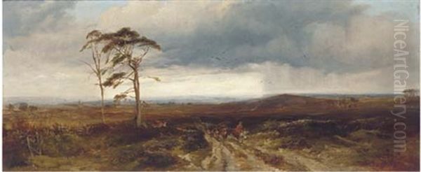 A View Of Sherwood Forest And Strawberry Hill Near Mansfield - view 1