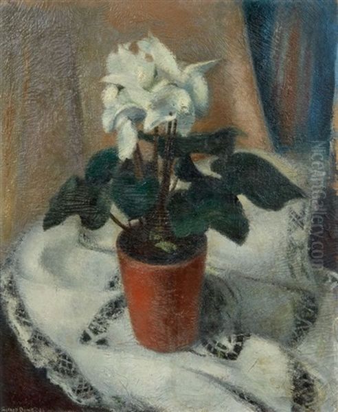 Cyclamene En Pot - view 1