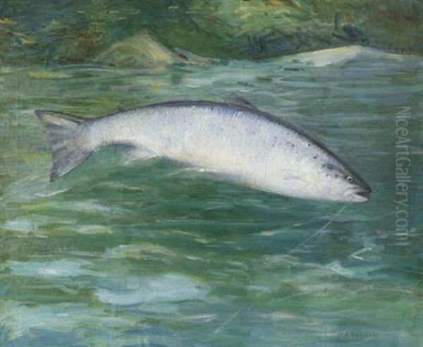 Silverside Landlock Salmon - view 1