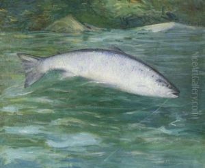 Silverside Landlock Salmon Silverside Landlock Salmon