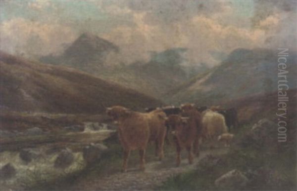Highland Cattle By The Beauly River, Invernesshire - view 1