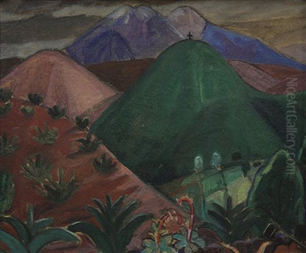 Mexican Field - view 1