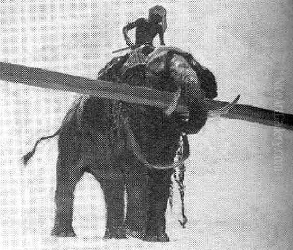 Elephant Lifting Log - view 1