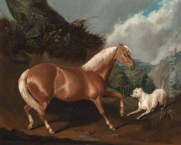A Palomino Pony And A Bull Mastiff In A Landscape - view 1