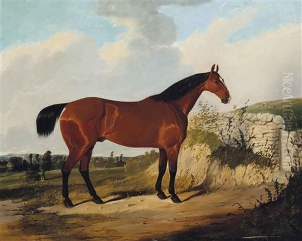 A Bay Hunter In A Landscape - view 1