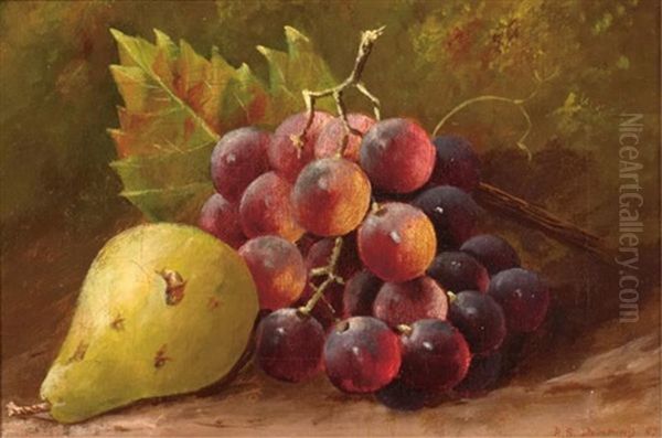 Still Life Of Grapes And A Pear In A Naturalistic Setting - view 1