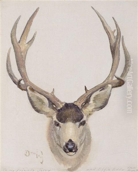 Mule Deer Buck - view 1
