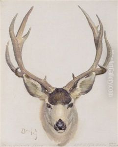 Mule Deer Buck by William Herbert Dunton
