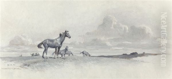 He Roamed The Open Range - view 1