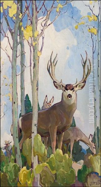 Mule, Deer, Buck And Doe - view 1