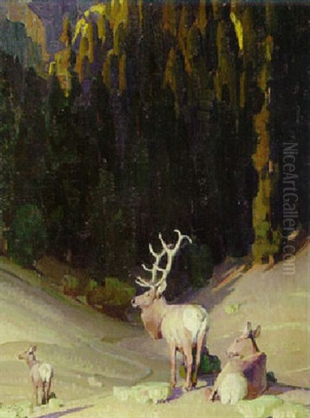 Elk - view 1