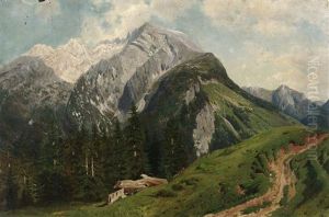 Im Sommerlichen Hochgebirge