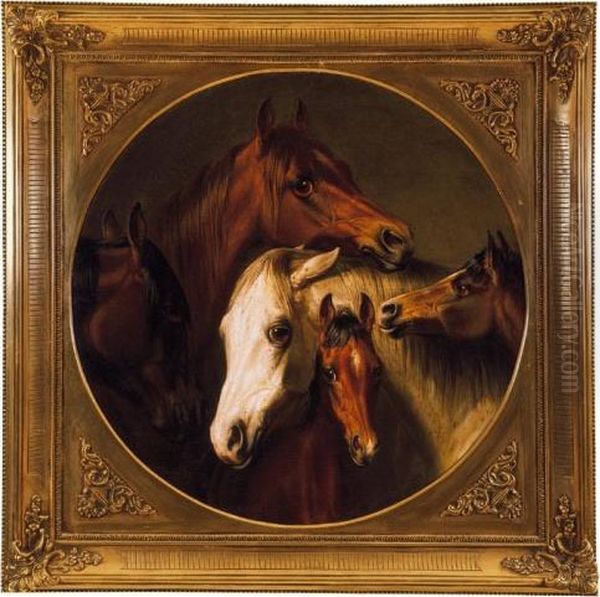 Horses - view 1