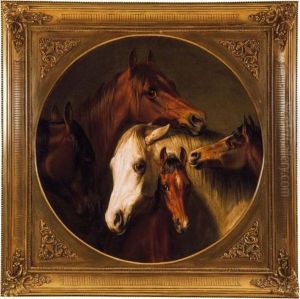 Horses Horses