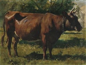 Vaca Vaca