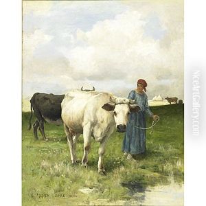 Pastoral Setting