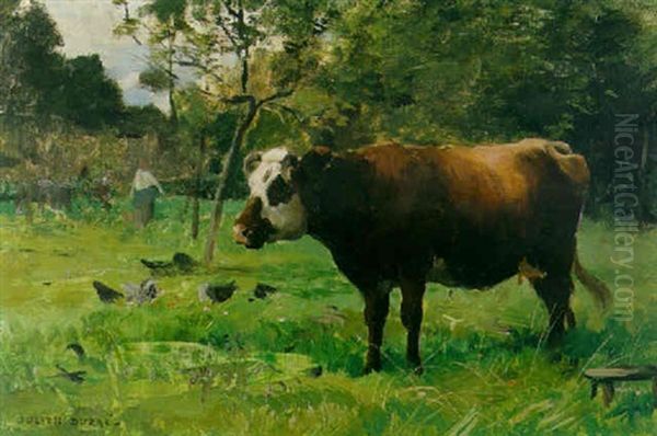 A Cow In A Pasture With Chickens Feeding Beyond - view 1
