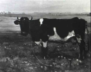 Vache Normande