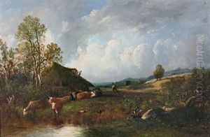 Troupeau De Vaches S'abreuvant Troupeau De Vaches S'abreuvant