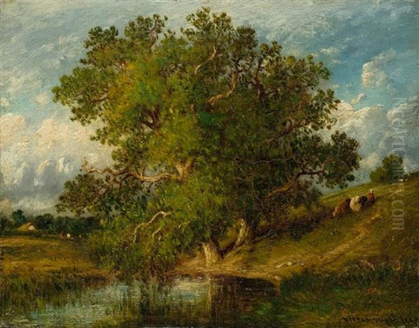 Grosser Baum Vor Einer Teichlandschaft - view 1