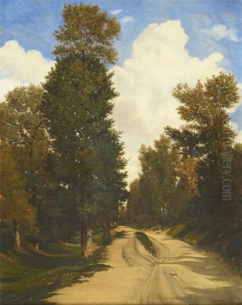 Chemin Dans La Foret - view 1