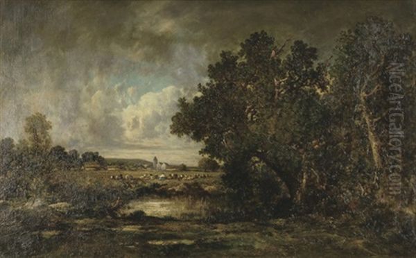 The Outskirts Of The Forest - view 1