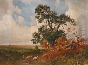 Schafhirte In Weiter Landschaft