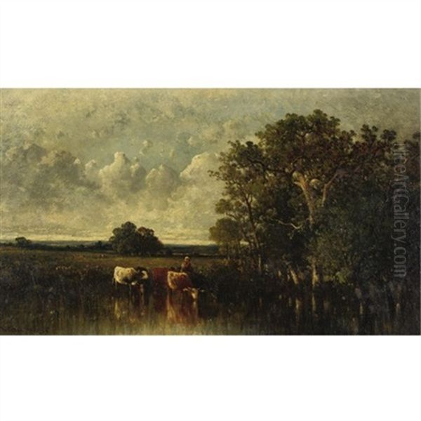 Cattle Watering At A Pond - view 1