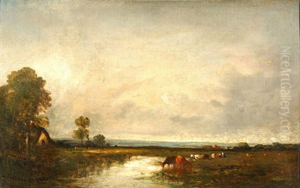 Teichlandschaft Mit Kuhen - view 1