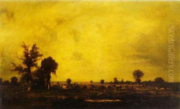Cows Grazing In An Open Field - view 1
