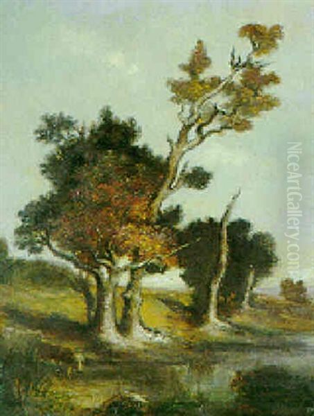Seeuferlandschaft Mit Knorrigen Baeumen - view 1