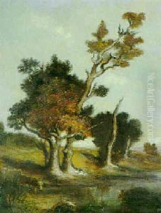Seeuferlandschaft Mit Knorrigen Baeumen Seeuferlandschaft Mit Knorrigen Baeumen