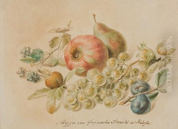 Studie Mit Fruchten - view 1