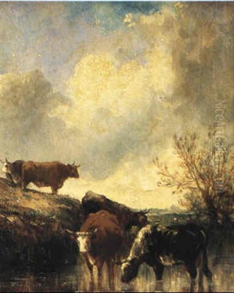 Cattle Watering In A Meadow - view 1