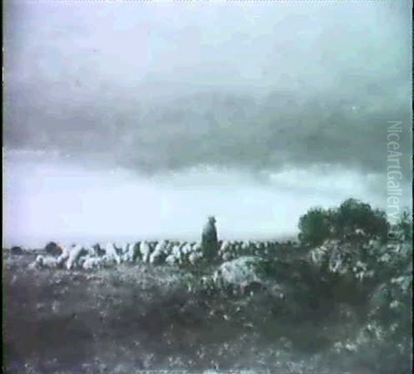 Schafer Mit Seiner Herde In Heidelandschaft - view 1