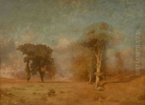 Paysage Aux Arbres Paysage Aux Arbres