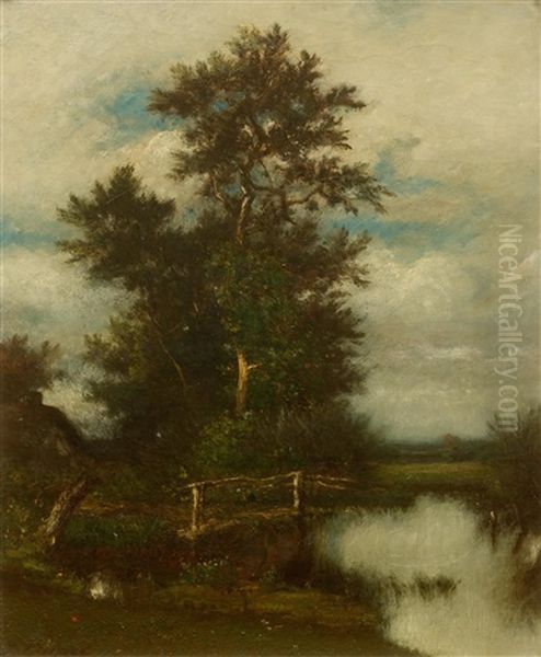Oak By A Pond - view 1