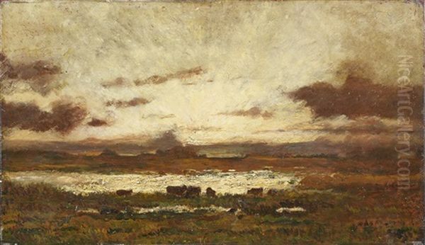 Soleil Couchant Sur Un Marais A Nohan - view 1
