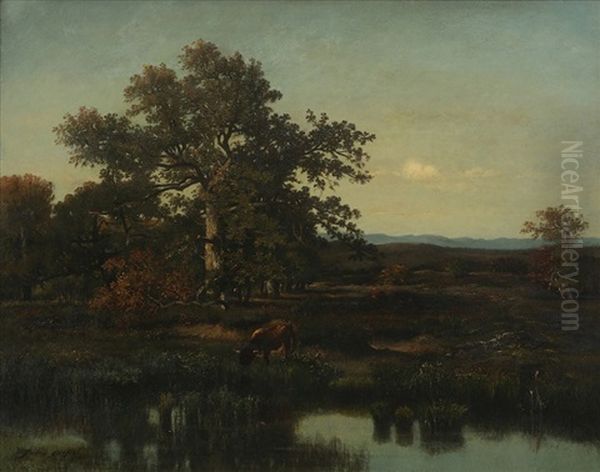 Mare En Foret - view 1