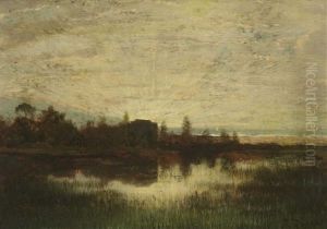 Uferlandschaft Bei Aufgehender Sonne