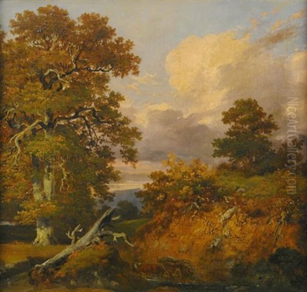 Blick In Waldlandschaft. Ein Bauer Fuhrt Sein Fuhrwerk Durch Einen Bach - view 1