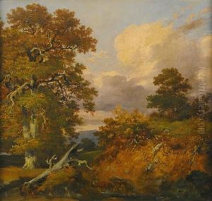 Blick In Waldlandschaft. Ein Bauer Fuhrt Sein Fuhrwerk Durch Einen Bach Blick In Waldlandschaft. Ein Bauer Fuhrt Sein Fuhrwerk Durch Einen Bach