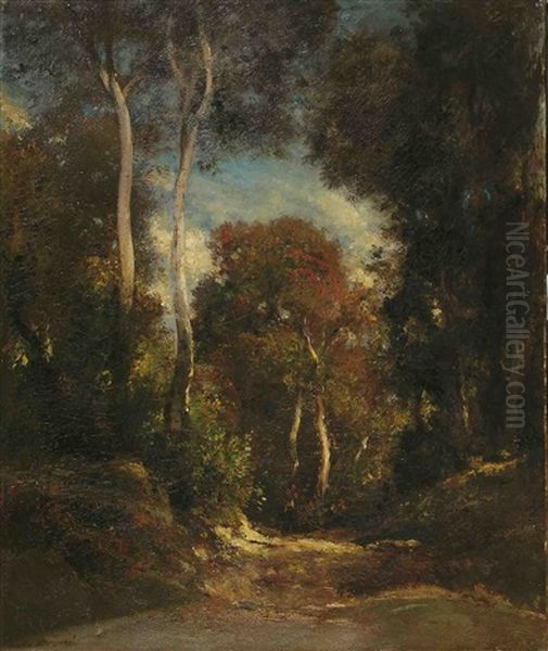 Foret De Compiegne - view 1