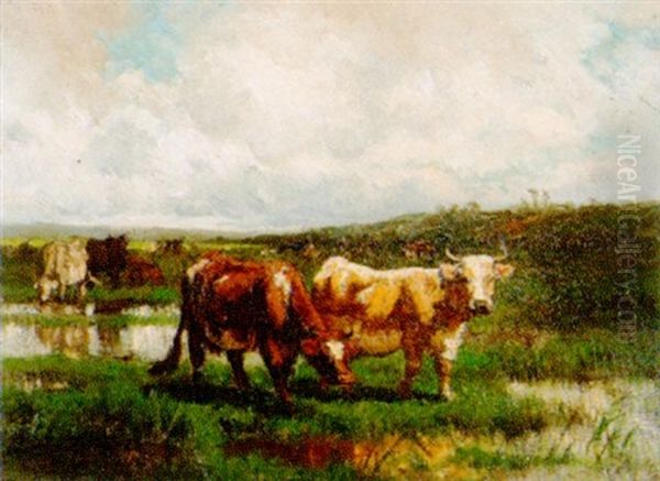 Weidende Kuhe - view 1