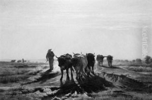 Cattle Herder Cattle Herder