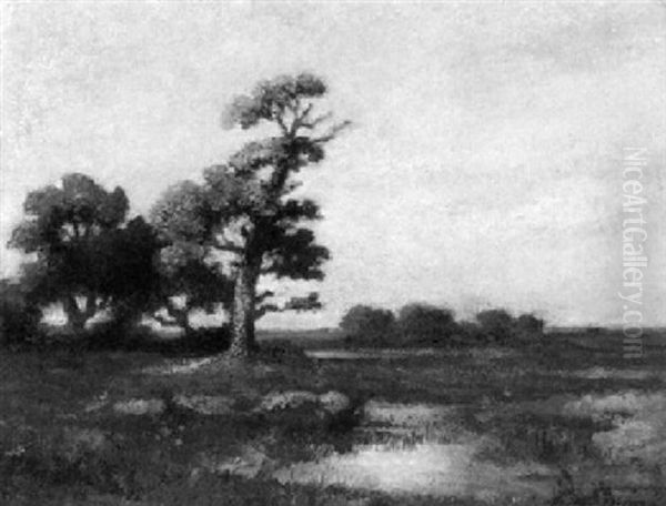 Landschaft Bei Fontainebleau Im Abendlicht - view 1