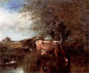 Cattle Drinking At A Pool In A Landscape