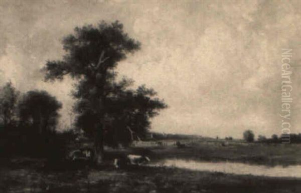 Cows Resting In A Summer Landscape - view 1