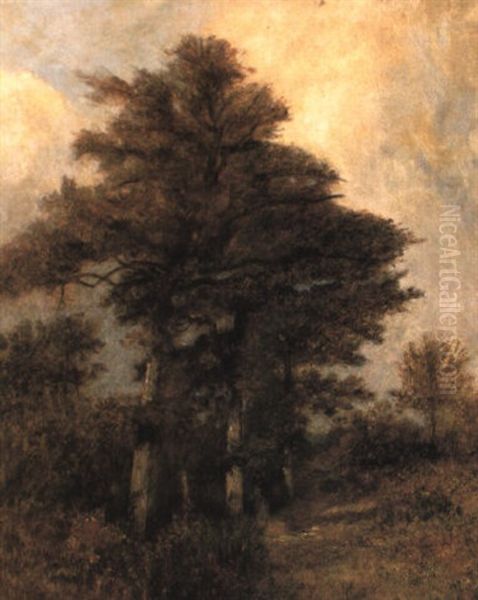 Crepuscule - view 1